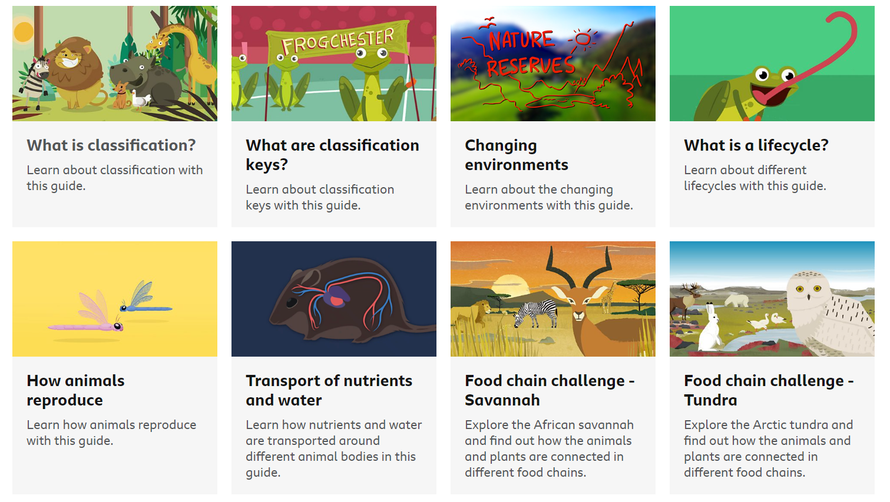 Summer term- we are going to be learning about 'Living Things and their Habitats'