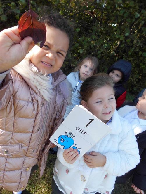 We found 1 red leaf.