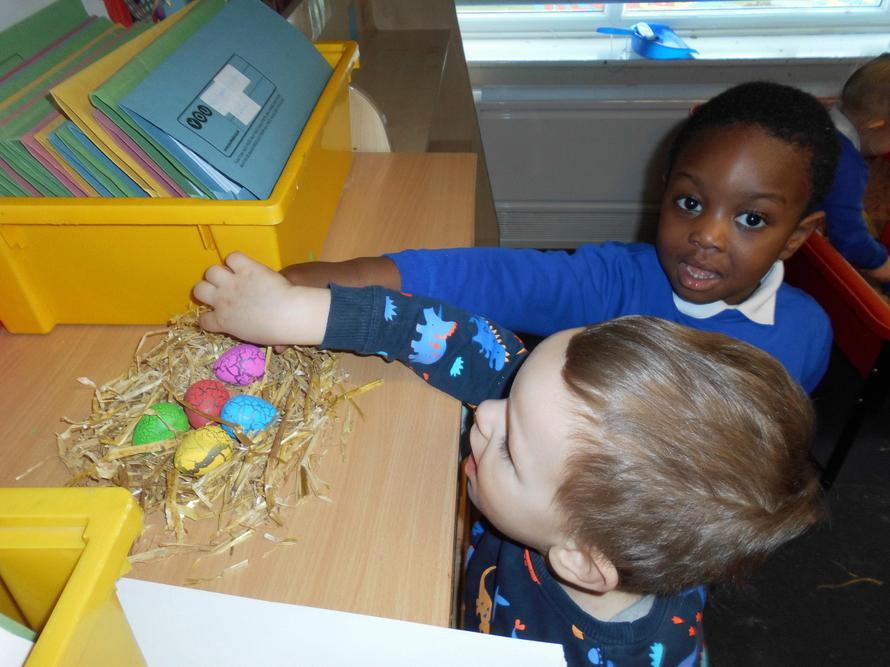 The eggs created alot of discussion!