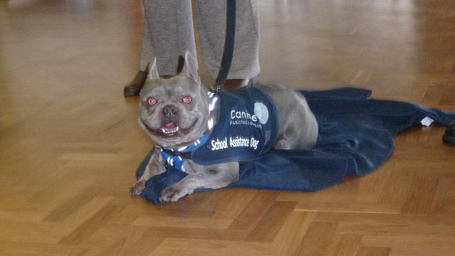 Fry listened and followed instructions.