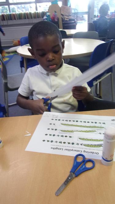 Which caterpillar is longer Elijah?