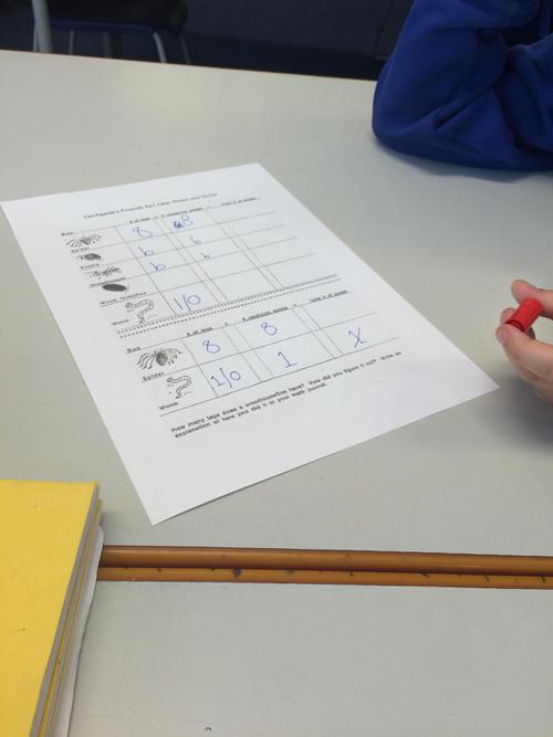 We completed maths on the Centipede's 100 shoes