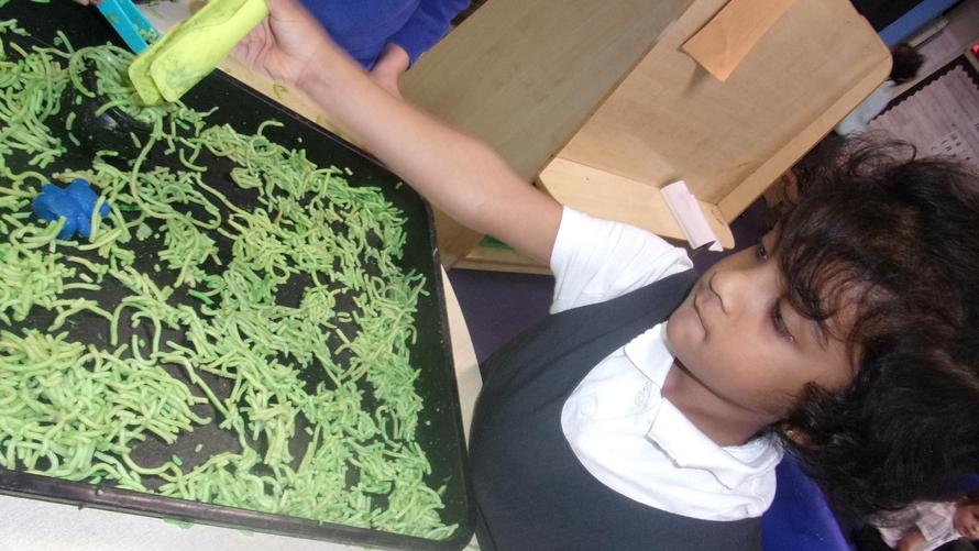 RD Exploring our senses 