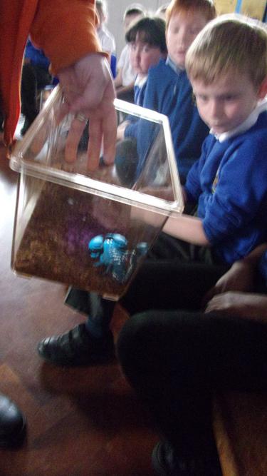 ...but the scorpion could glow!