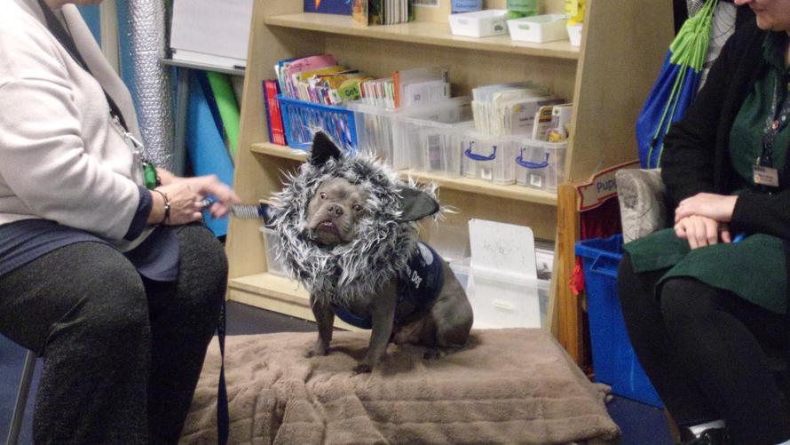 He helped us retell the story of The Three Little Pigs 