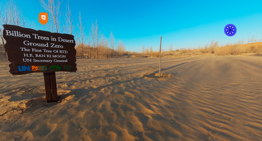 In China, we see volunteers in the desert planting trees.