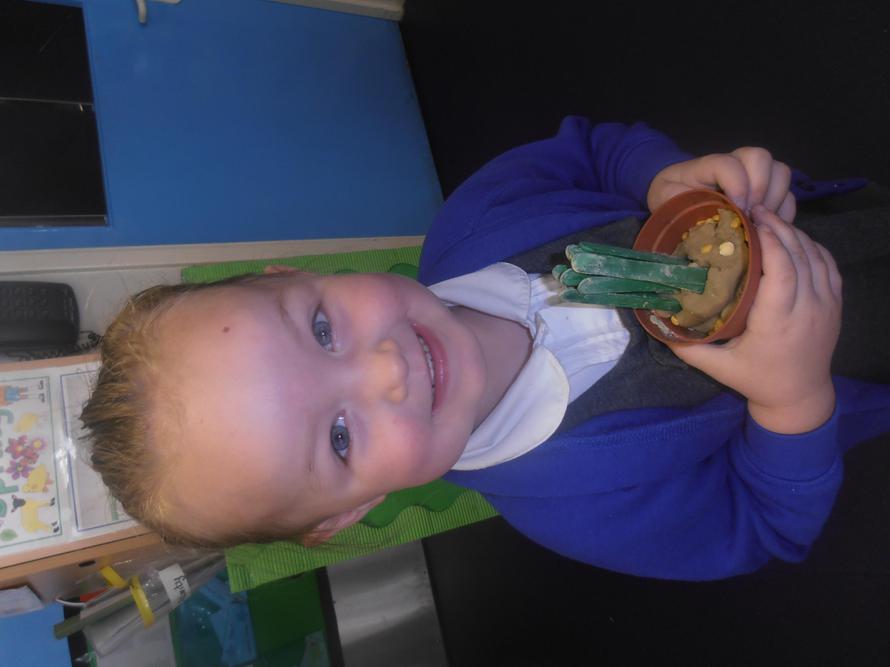 'I made a beanstalk'