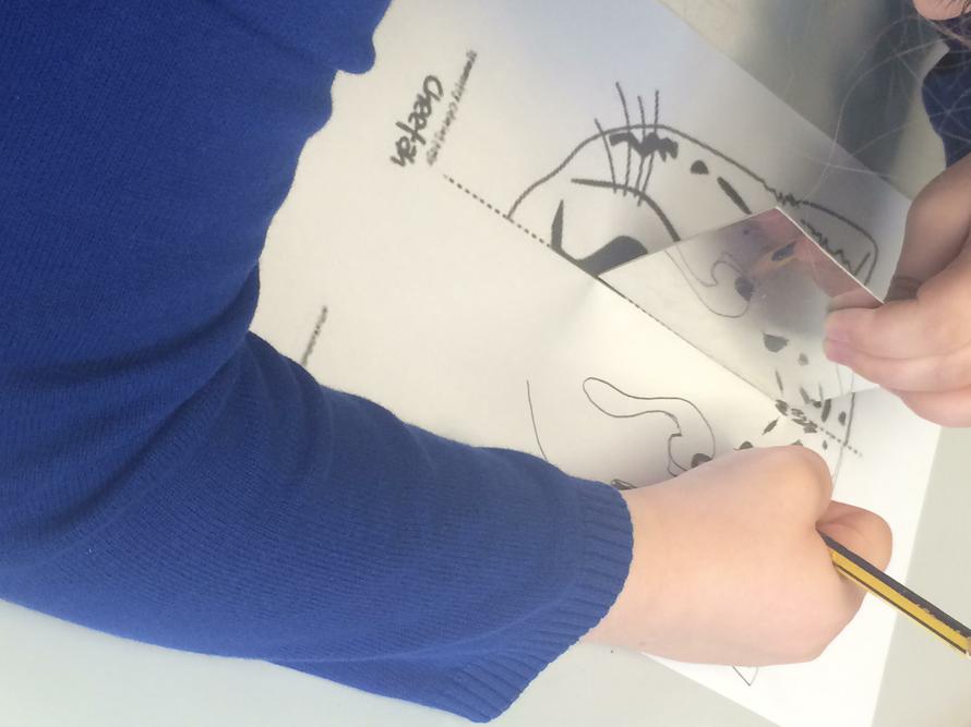 Symmetry using a mirror