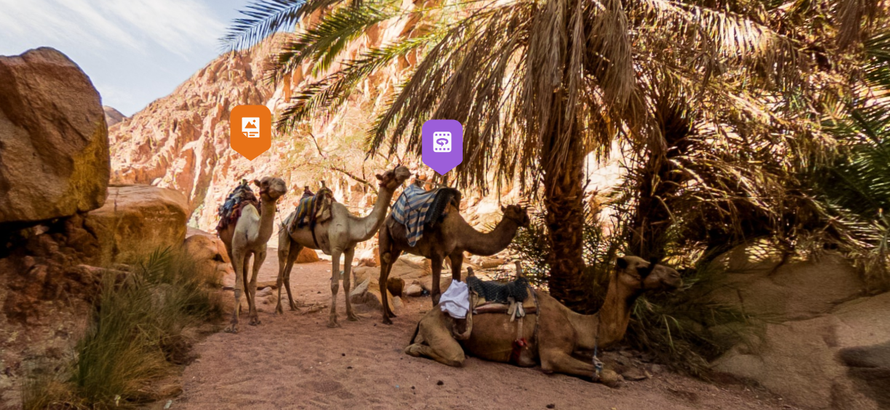 In Egypt, we see life in the desert and meet some camels.