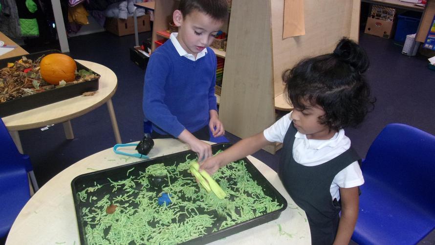 RD Exploring our senses 