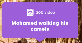 This icon is for the 360 video.