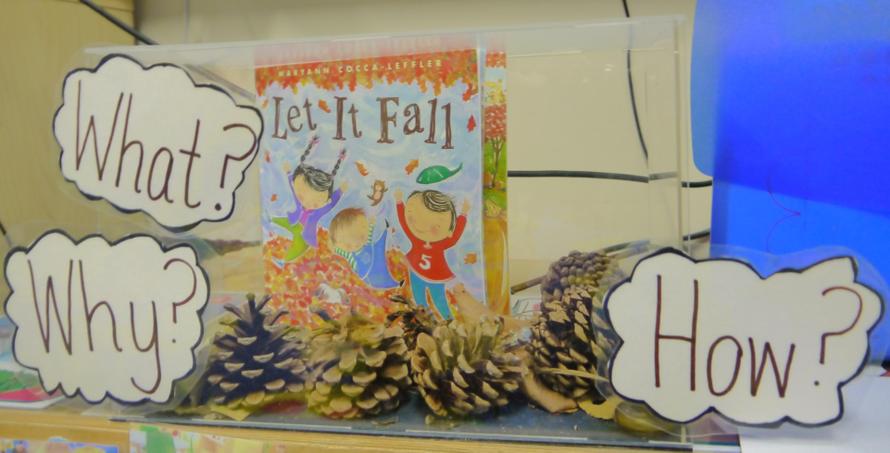 In Nursery we have introduced a 'Curiosity Cube' Our Curiosity Cube is based on Autumn. A 