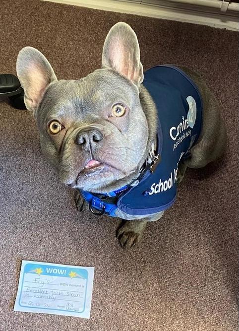 Fry with his WOW award. Can you get one too? 