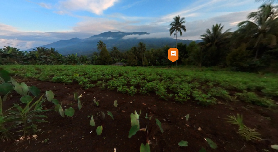 In the Philippines, we visit the rainforest.