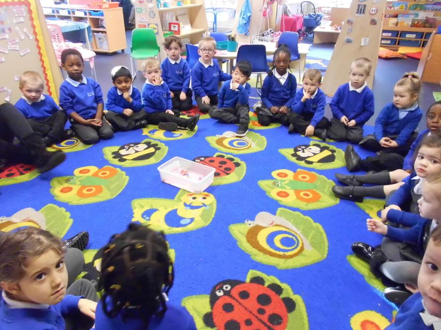 We all talked about how the eggs changed