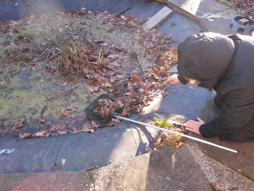 Exploring the pond and nature garden