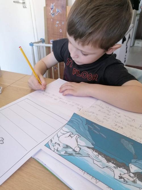 Mitchell has been busy writing about habitats!