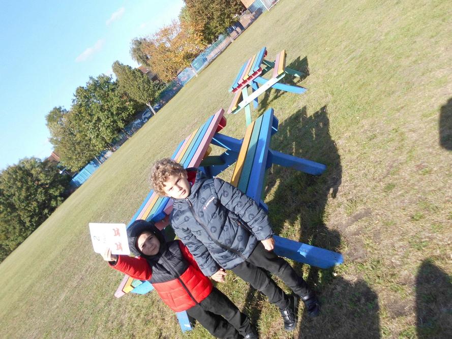 We found 2 rainbow benches