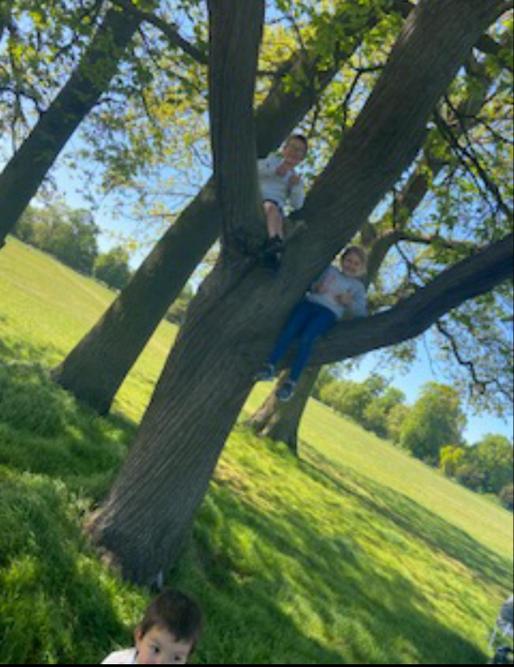Kayla-Mae has been busy climbing trees!