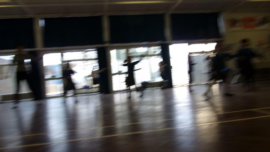 Brazilian  Carnival Dancing 