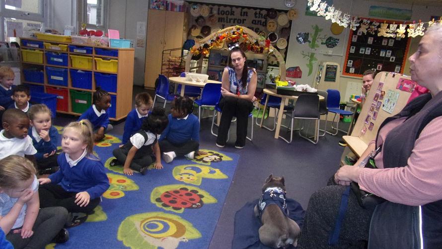 The school Support Dog (Fry) came to visit us to tell us how he helps us.