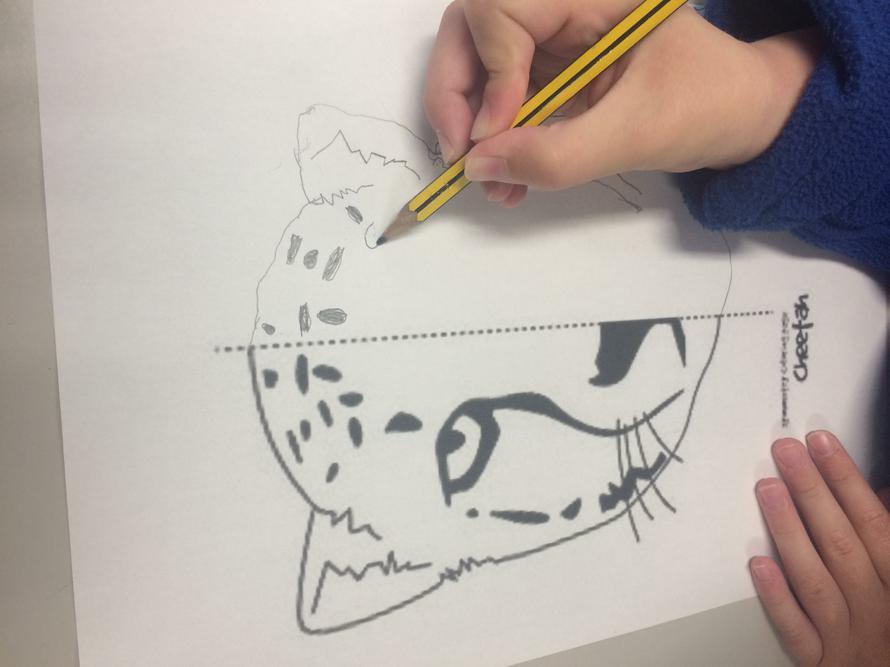 Symmetry using a mirror