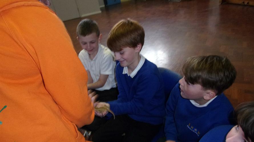 We could hold the animals if we wanted to. 