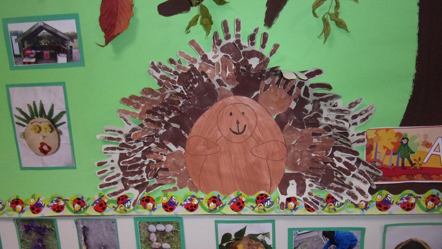 We have been thinking about how some animals hibernate in Autumn