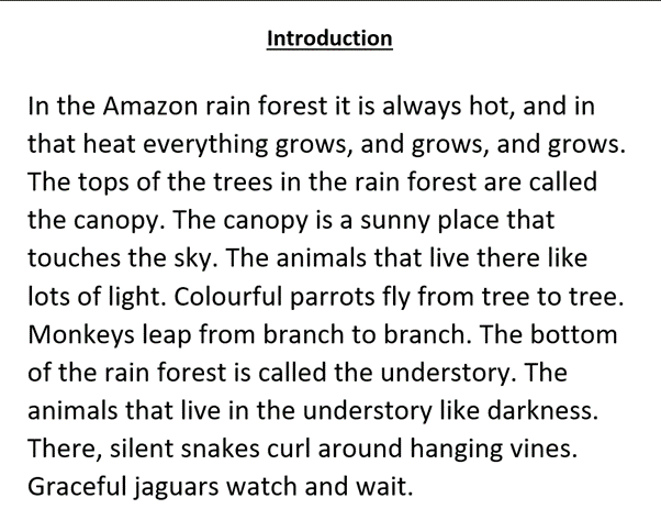 We have been finding out what the rainforest is like and what animals live there.