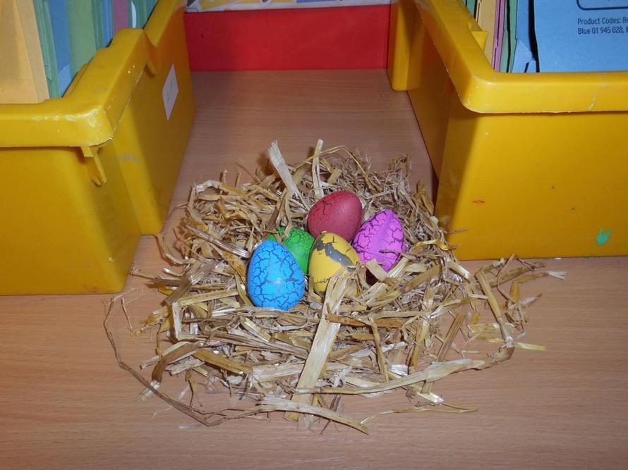 The eggs were pretty colours in a nest.