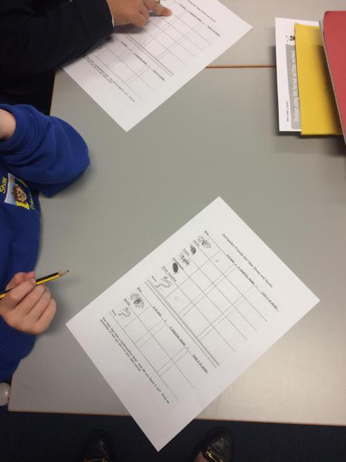 We completed maths on the Centipede's 100 shoes