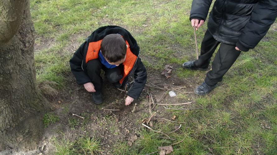 We built a home for a mini-beast.