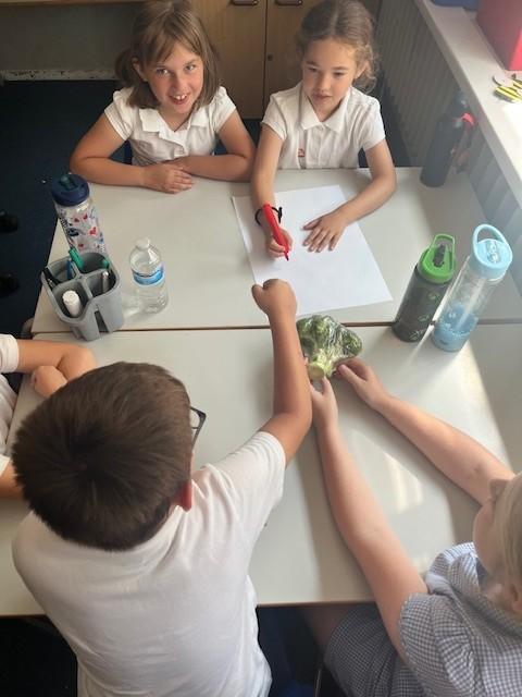 We then added adjectives to make our nouns more interesting.