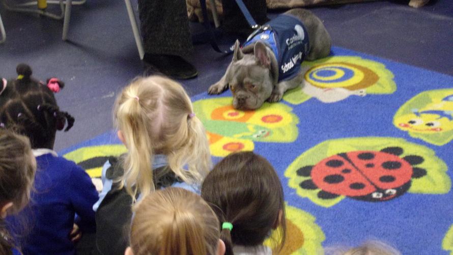 Fry came to visit Early Years 