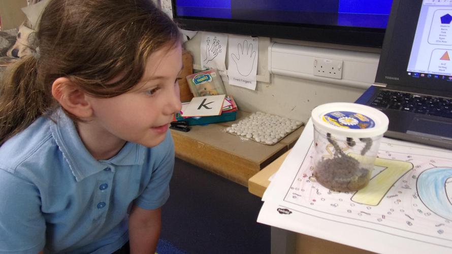 They have been eating a lot!