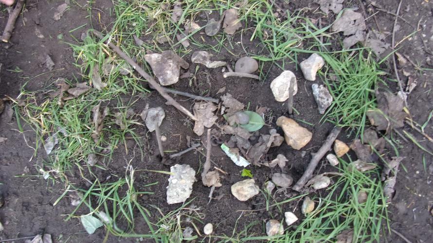 "This little home is for a ladybird".