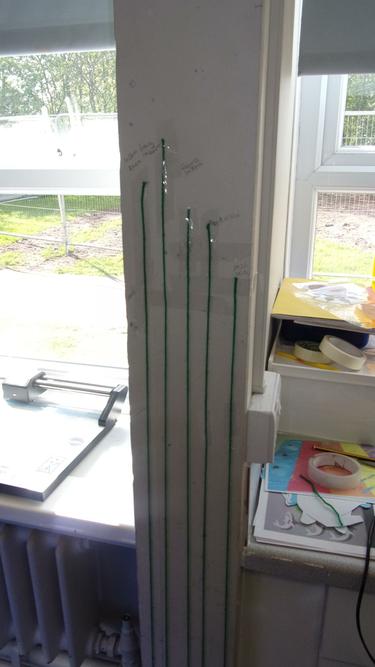 Who is the tallest in the class? 