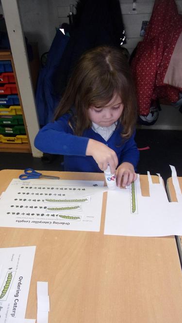 Comparing Length - who has the shortest caterpilar?