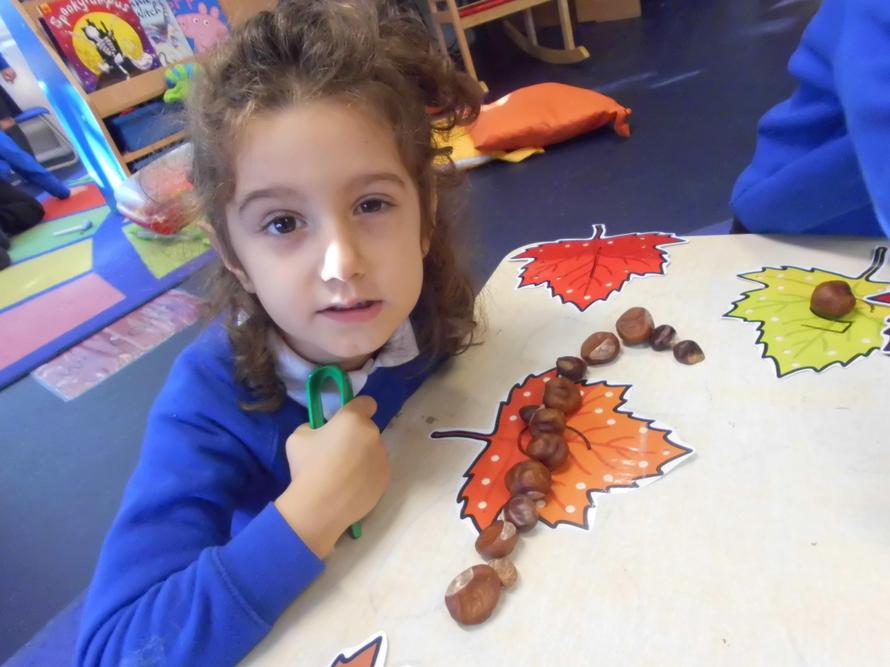 Nikol counted the conkers 1,2,3,4,5,6,7,8!