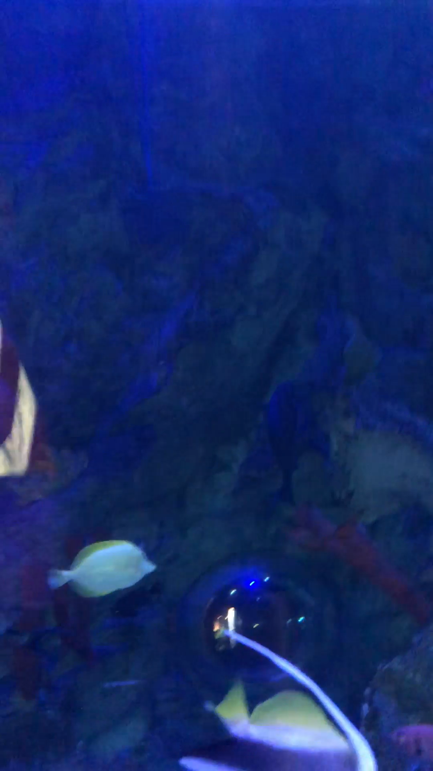 Still image for this video