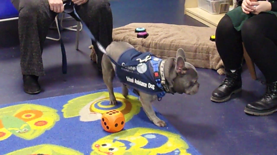 Still image for this video