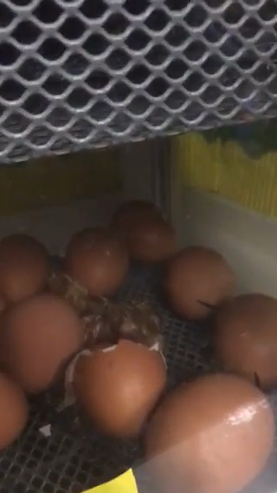 Still image for this video