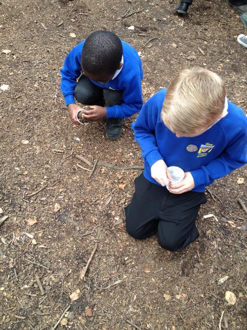 We made Gruffalo Crumble!