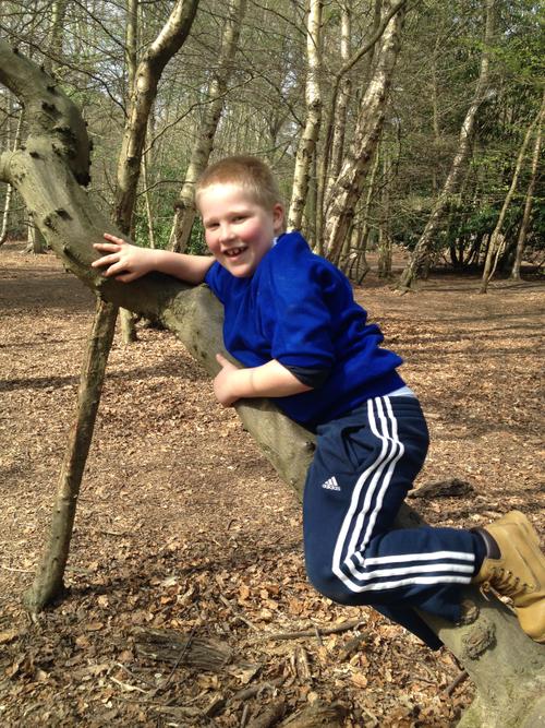 Harry loved climbing the trees...