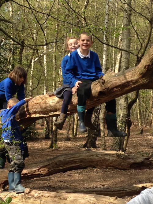 Tommy and Maddison at the top of the tree...