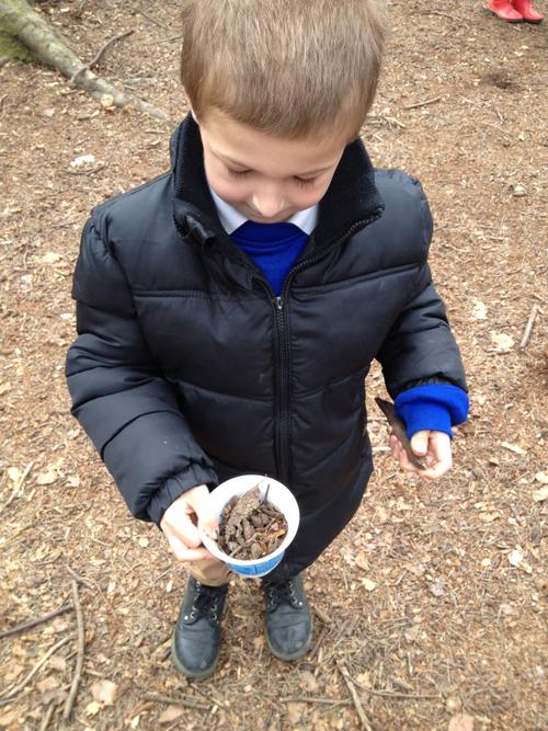 Good enough to eat Tyler!