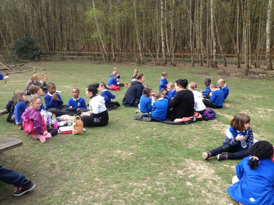 We had a lovely picnic lunch.