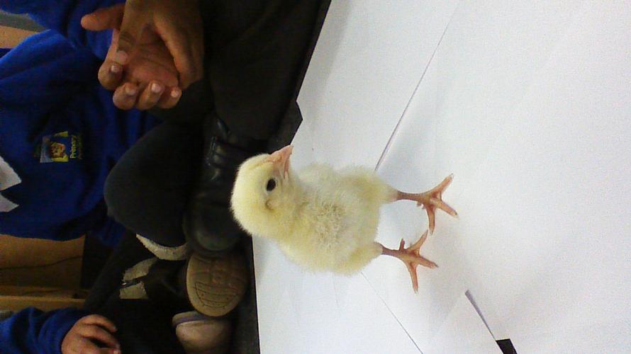 Just checking us out...