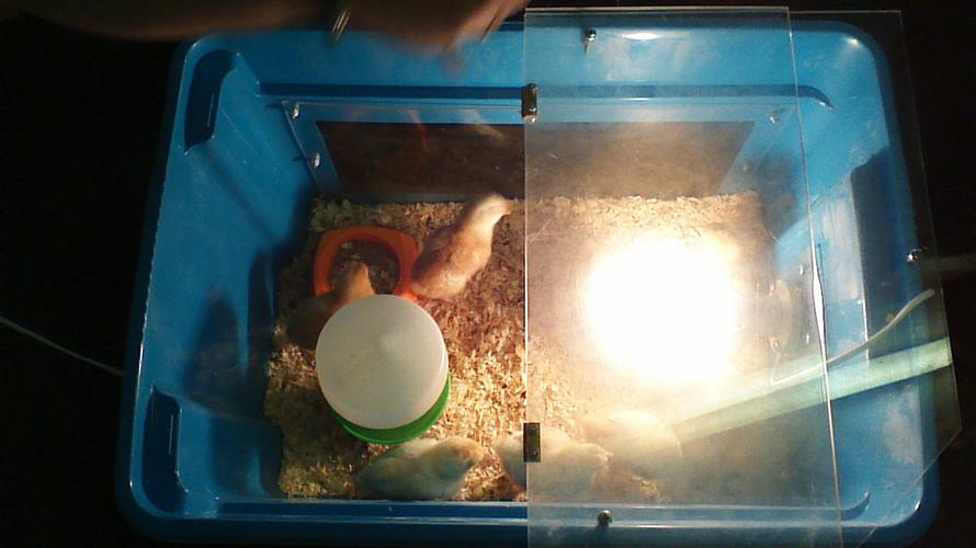 Keeping warm in class 2A